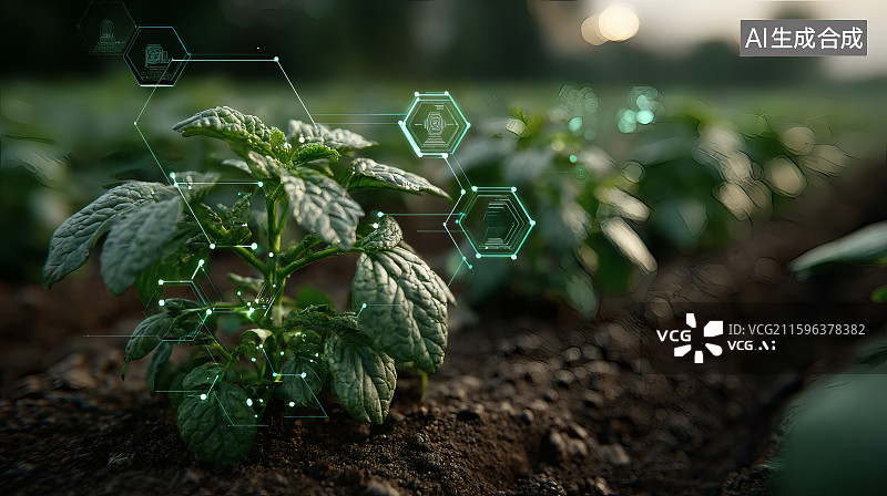 【AI数字艺术】菜地泥土中种植的蔬菜，数据分析，智慧农业科技图片素材