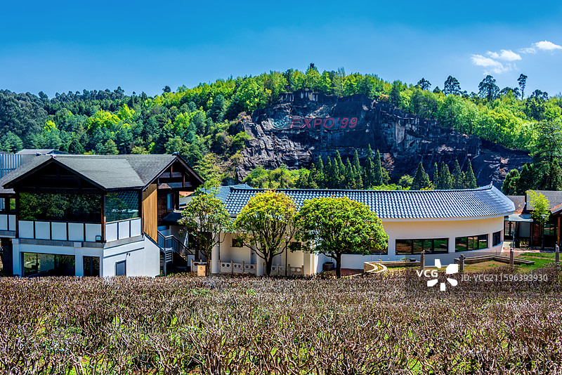 中国云南昆明世界园艺博览园国际展区图片素材