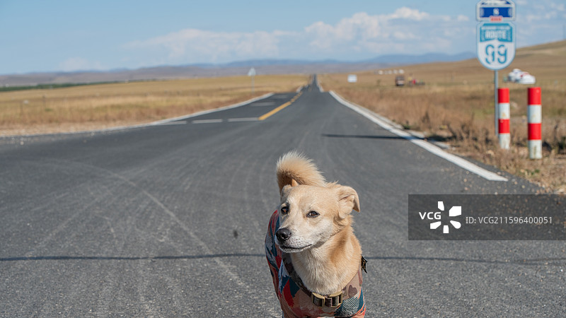 锡林郭勒西乌旗99号公路图片素材