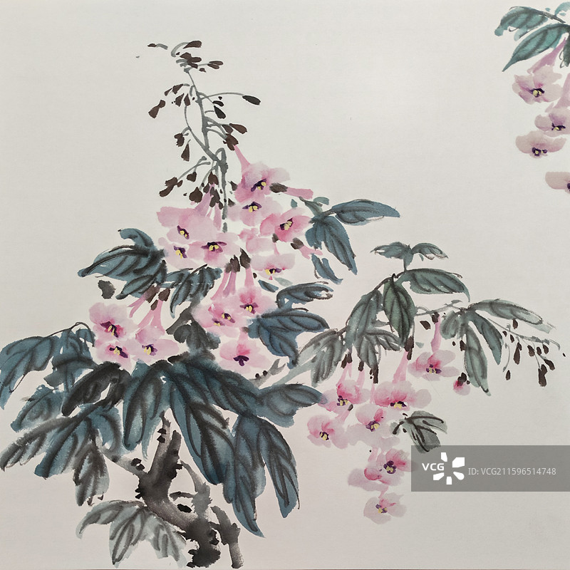 国画二十四节气清明国画泡桐花图片素材