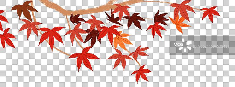 插画枫叶边角图画图片素材