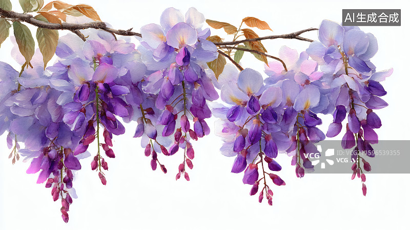 【AI数字艺术】彩绘风格，盛开的紫罗兰花图片素材