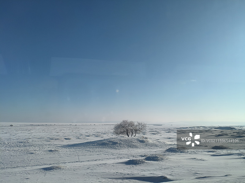 蒙古国冬草原雪景孤独的树图片素材