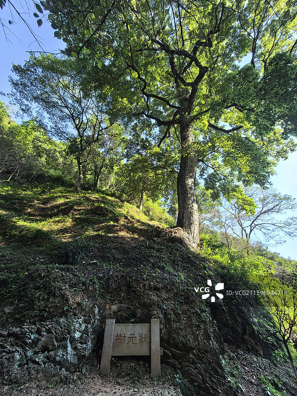 梅关古道图片素材