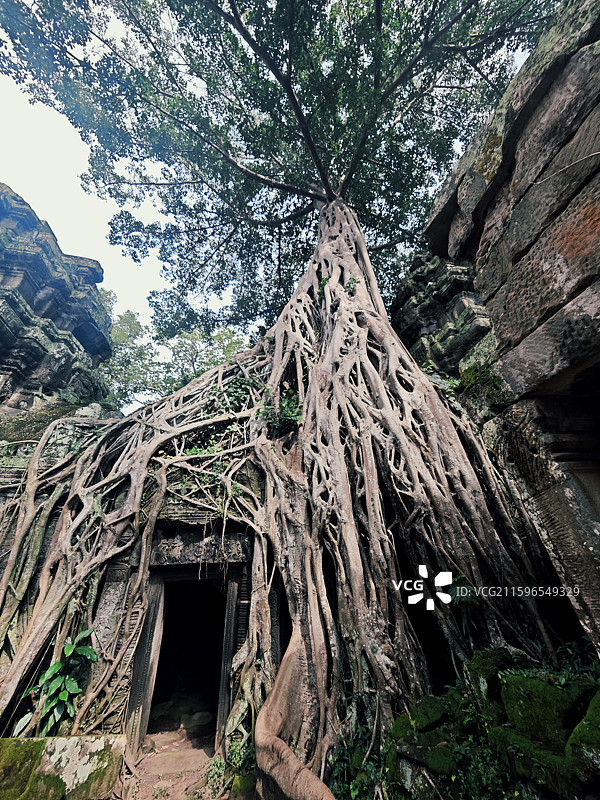 柬埔寨暹粒吴哥窟古墓丽影取景地塔布隆寺图片素材