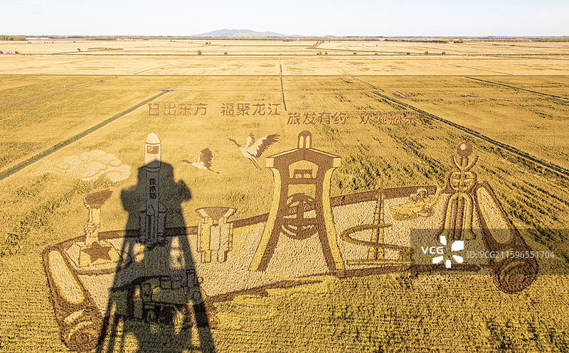 佳木斯富锦万亩水稻公园稻田画图片素材