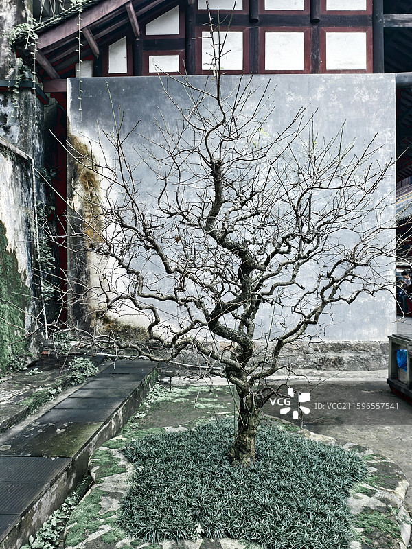 都江堰二王庙图片素材