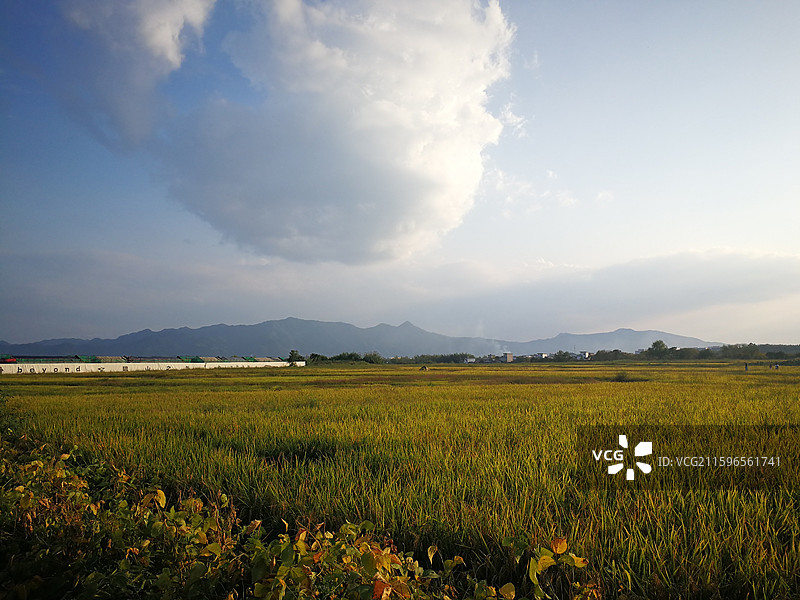 碧山村 安徽黟县2025图片素材