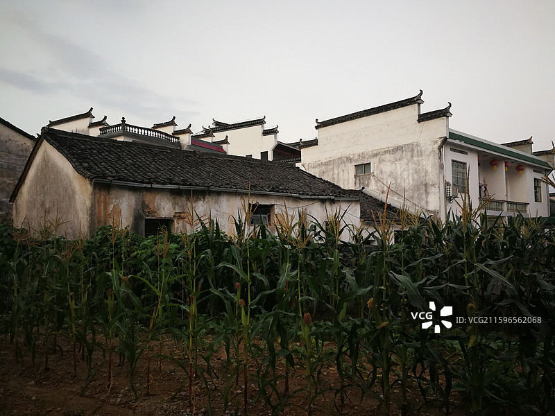 碧山村 安徽黟县2025图片素材