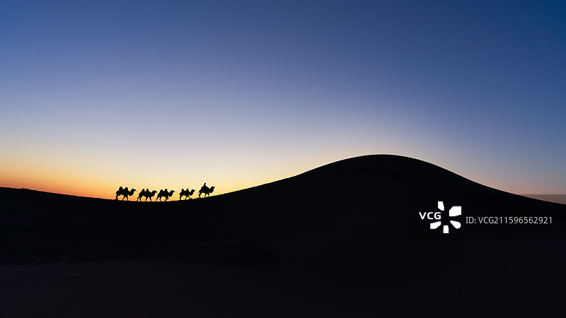 额济纳丹巴吉林沙漠驼队晨光图片素材