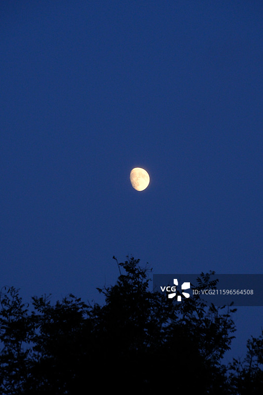 傍晚黄昏夜晚蓝色天空月牙月亮月色月夜。正定古城墙城门楼。树梢。自然风光背景图图片素材