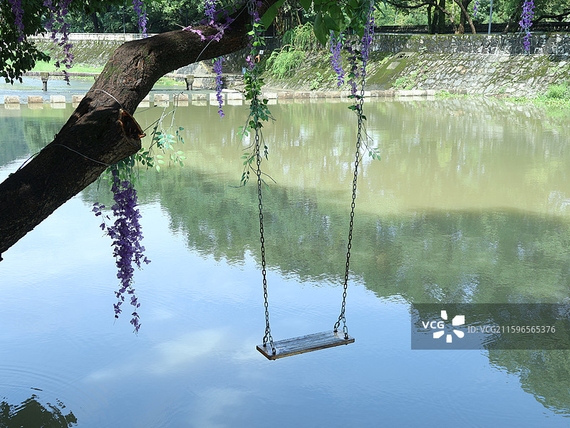 绍兴兰亭风景区河面上挂在树上的秋千图片素材