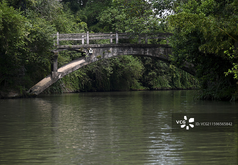 密林中的拱桥与湖泊图片素材