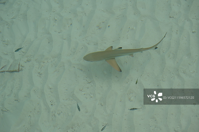 马来西亚浪中岛图片素材