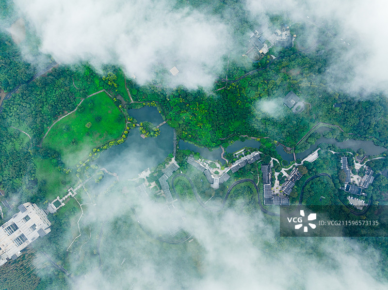 云雾中的张坝桂圆林公园图片素材