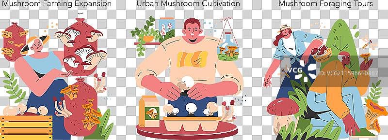 蘑菇种植平面图图片素材