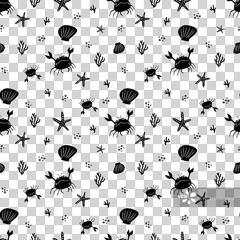 海螺海星珊瑚图案图片素材