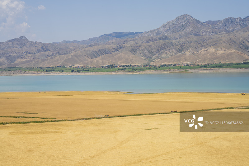 蓝天白云下的特克斯蓝湖图片素材