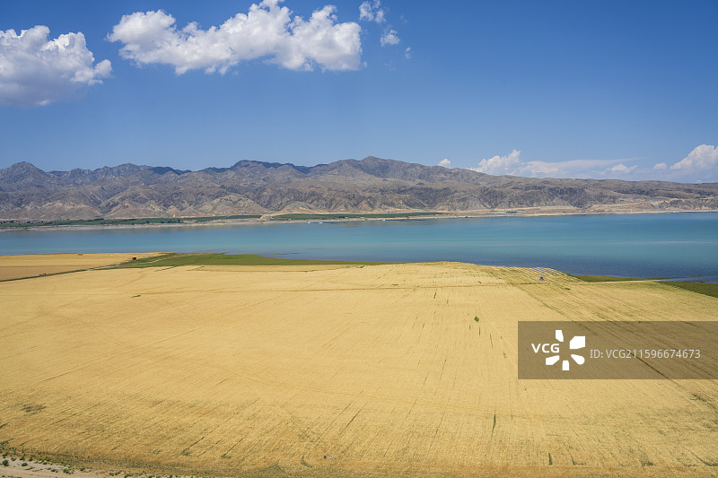 蓝天白云下的特克斯蓝湖图片素材