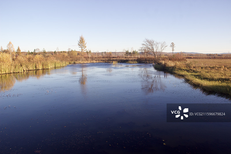 湿地 公园 伊春 小兴安岭 水域 环境 保护 秋天 寒冷 枯萎 霜降图片素材