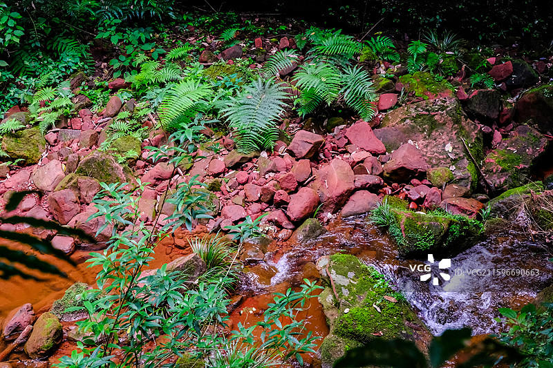 中国贵州赤水丹霞旅游区，赤水丹霞世界遗产核心区佛光岩景区风光，赤水丹霞地貌，赤水丹霞石，红色丹崖图片素材