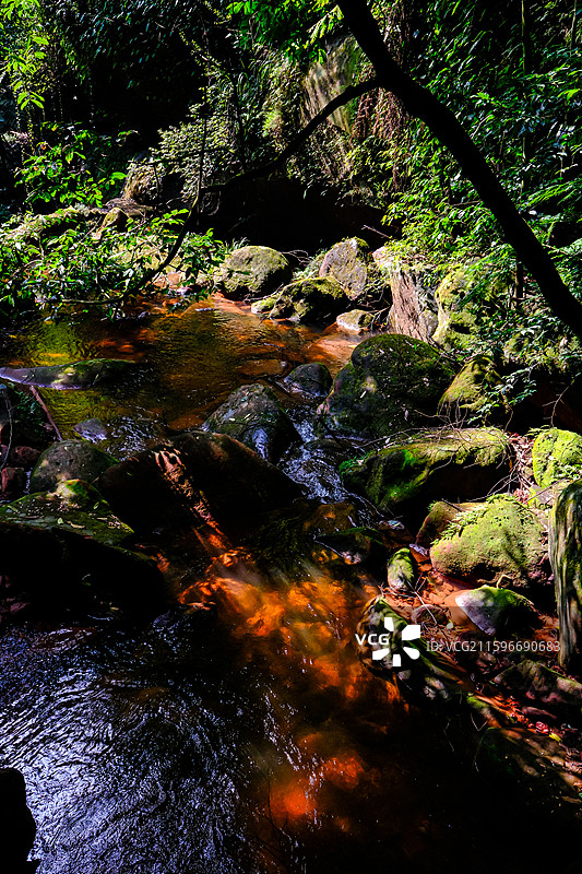 中国贵州赤水丹霞旅游区，赤水丹霞世界遗产核心区佛光岩景区风光，赤水丹霞地貌，赤水丹霞石，红色丹崖图片素材