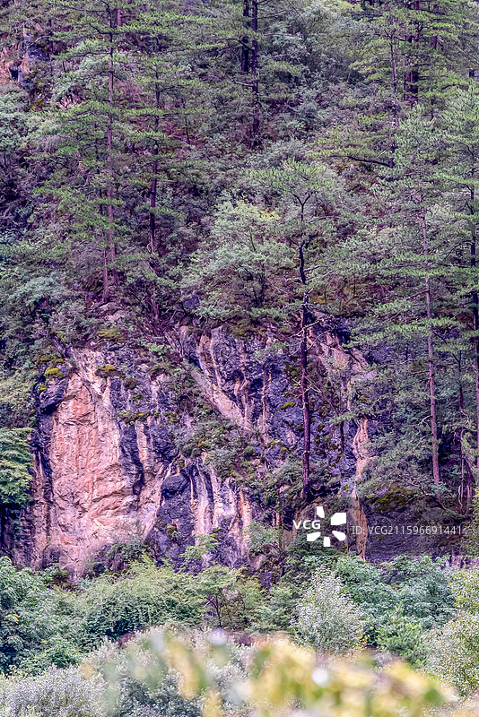 中国九寨沟风景区芦苇海沃洛瑟嫫女神像图片素材
