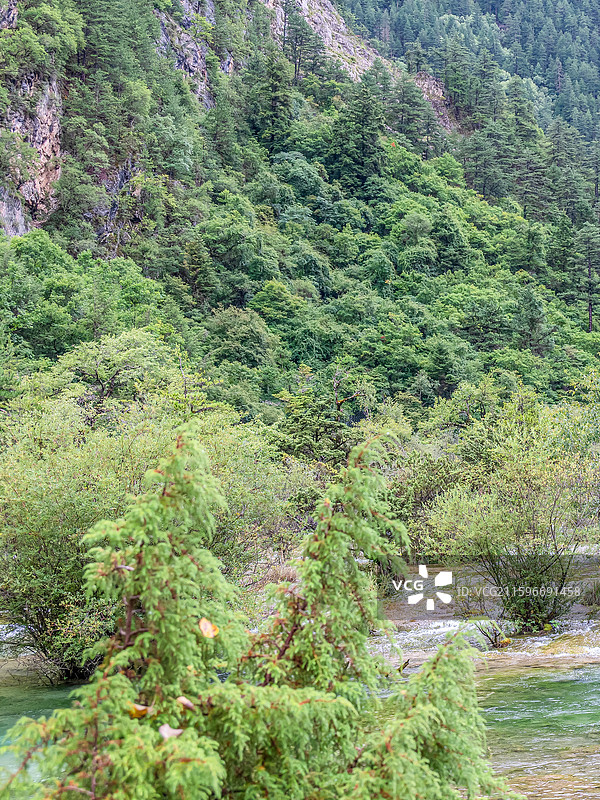 中国九寨沟风景区盆景滩景色图片素材