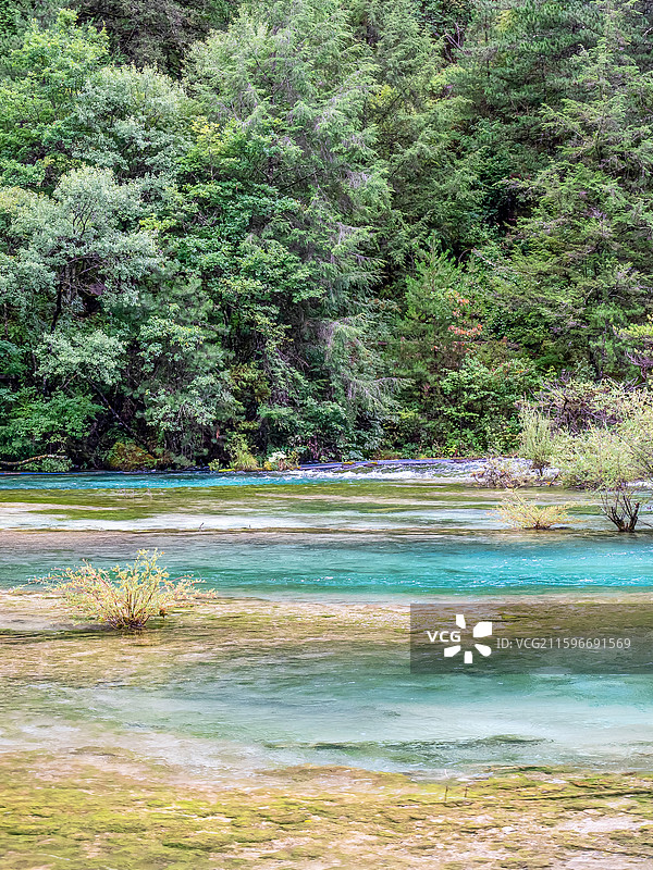 中国九寨沟风景区盆景滩景色图片素材