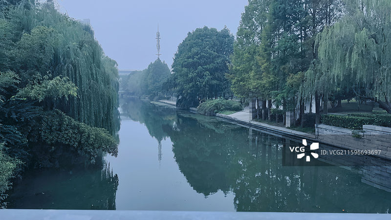 河畔晨雾 晨雾里，河畔柳丝与树影浸在绿波里，灰蓝天光把一切衬得格外清寂。图片素材