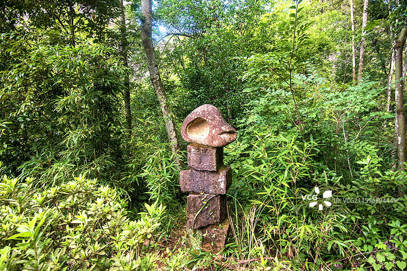 俯拍福建南平九曲溪竹筏漂流周边风景图片素材