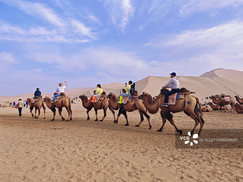 蓝天驼队沙漠甘肃敦煌图片素材