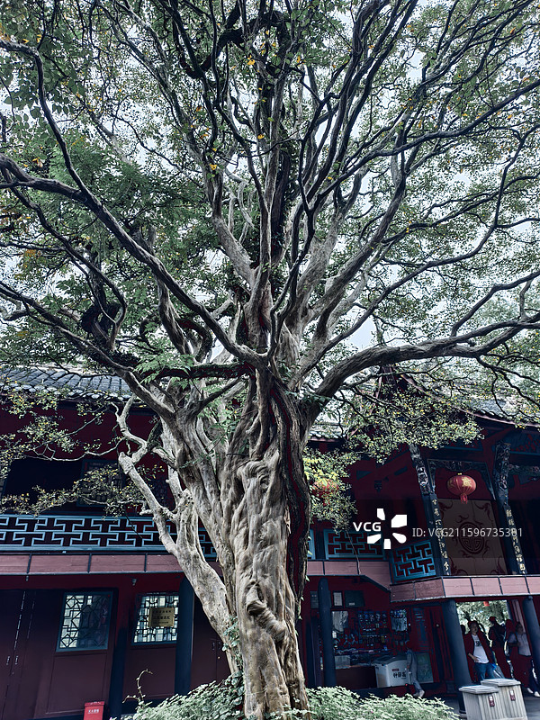 都江堰二王庙图片素材