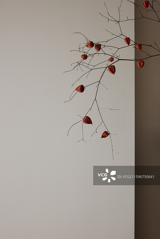 室内空间设计陈设图片素材