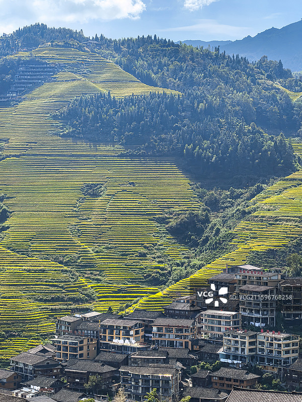 金坑大寨梯田秋季风光图片素材