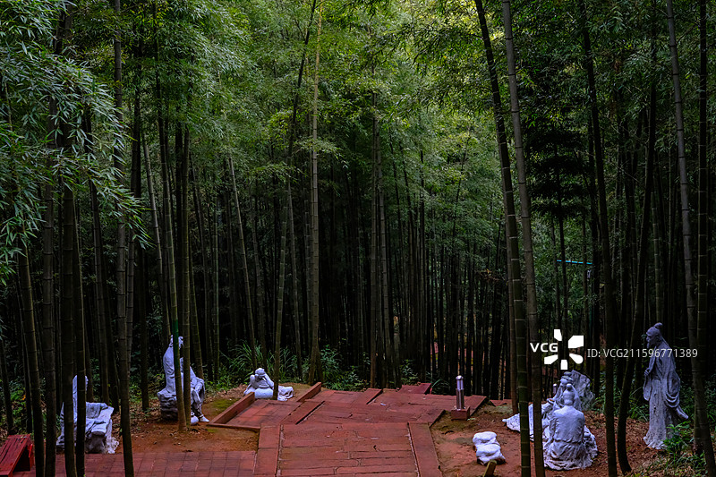 中国贵州遵义赤水竹海国家森林公园风光图片素材