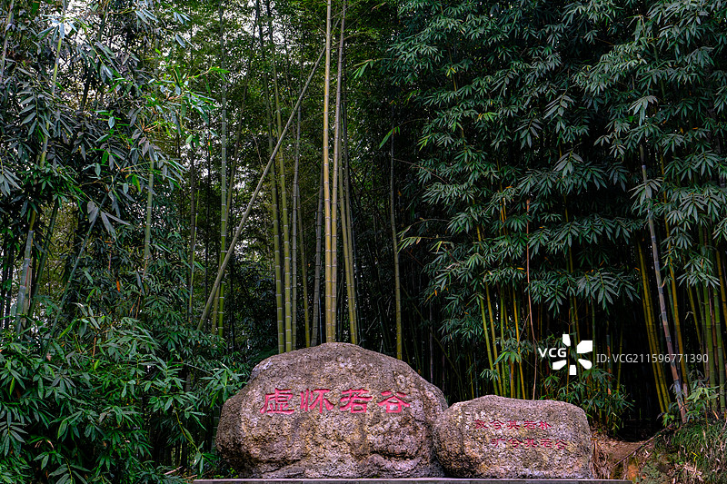 中国贵州遵义赤水竹海国家森林公园风光图片素材