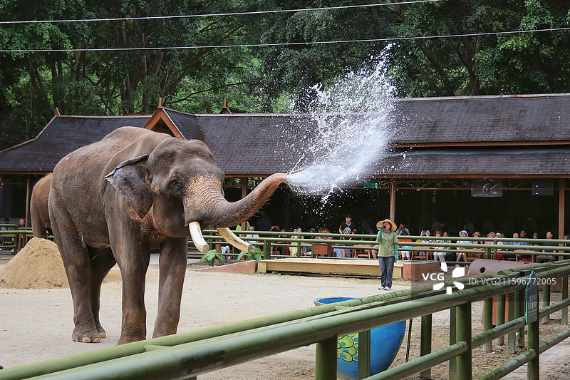 西双版纳图片素材