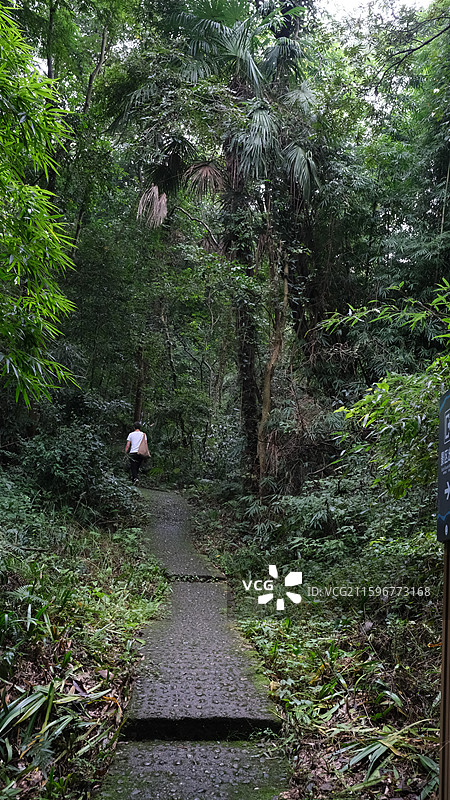 绵阳市安州区罗浮山的山间小路林间图片素材