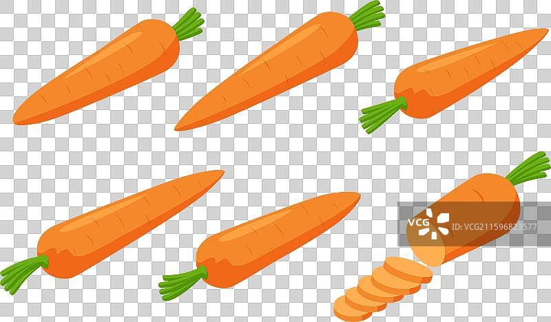 等距的黄色胡萝卜蔬菜，孤立在图片素材