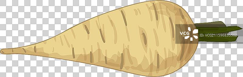 单根欧防风横放，带有绿色的茎图片素材