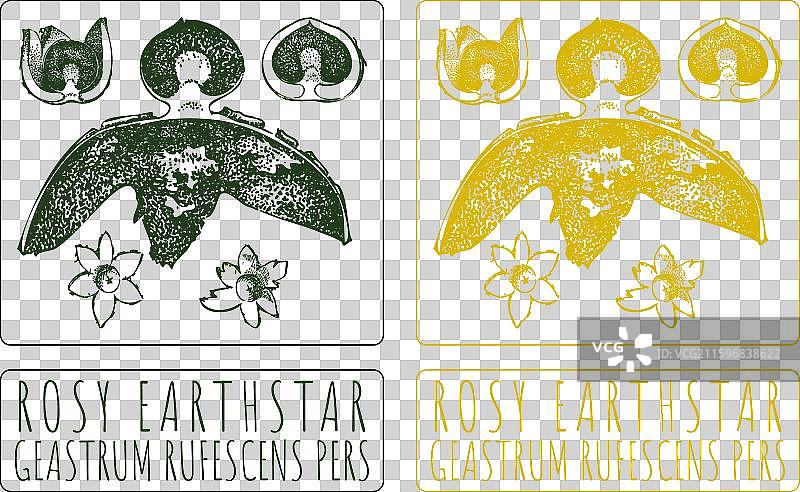 手绘的玫瑰色地球星图片素材