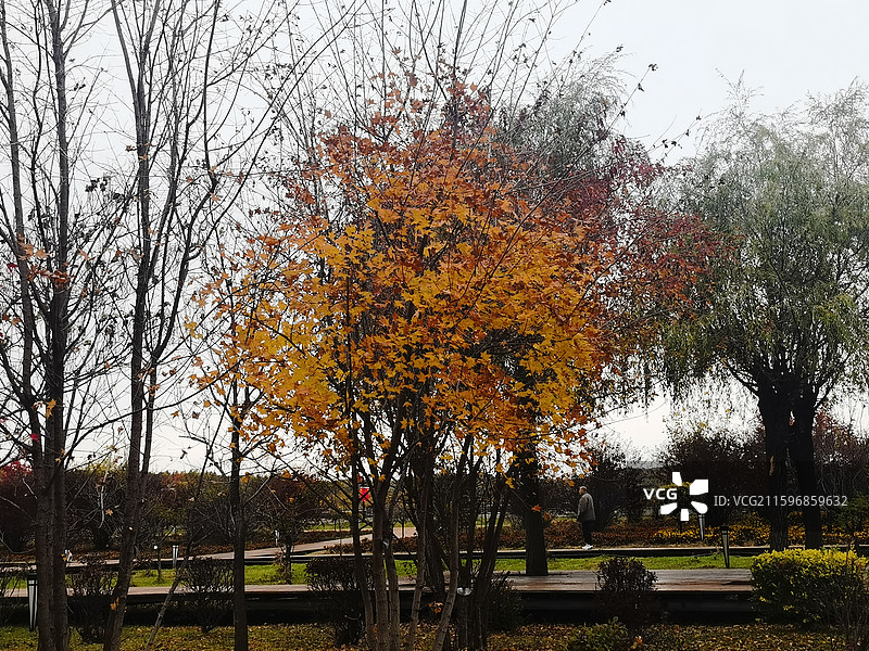 绥芬河市爱情谷景区图片素材