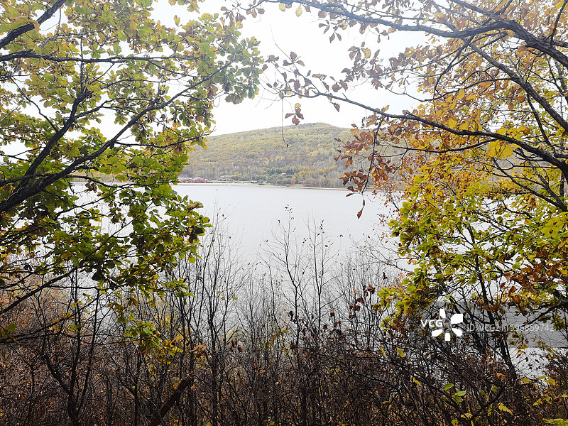 绥芬河市爱情谷景区图片素材
