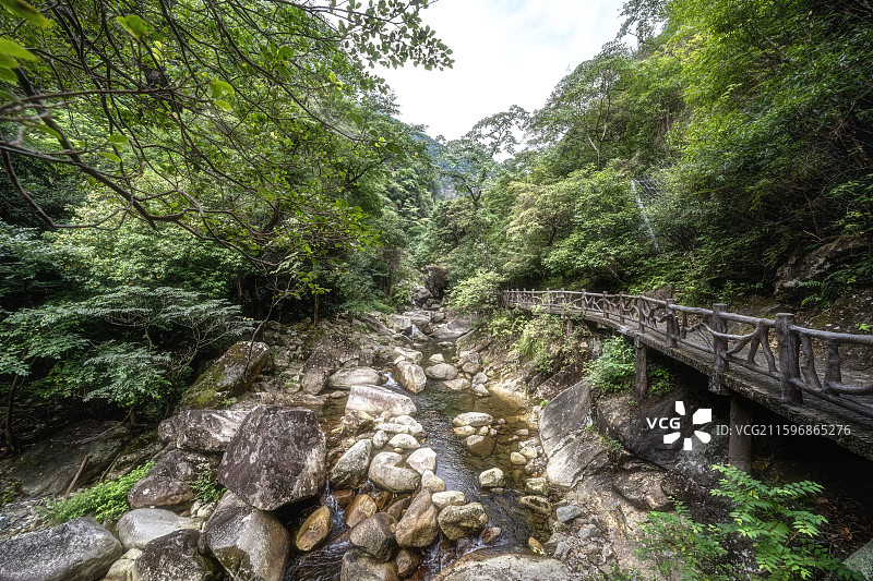 江西省上饶市婺源县大鄣山卧龙谷金庸武侠山谷山林山里峡谷自然风光图片素材