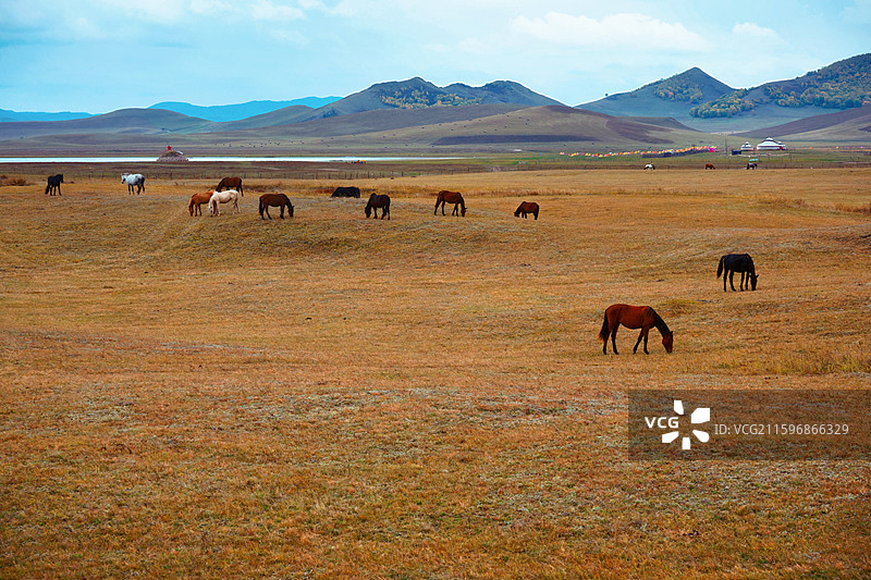 内蒙赤峰市古乌兰布统草原秋色图片素材