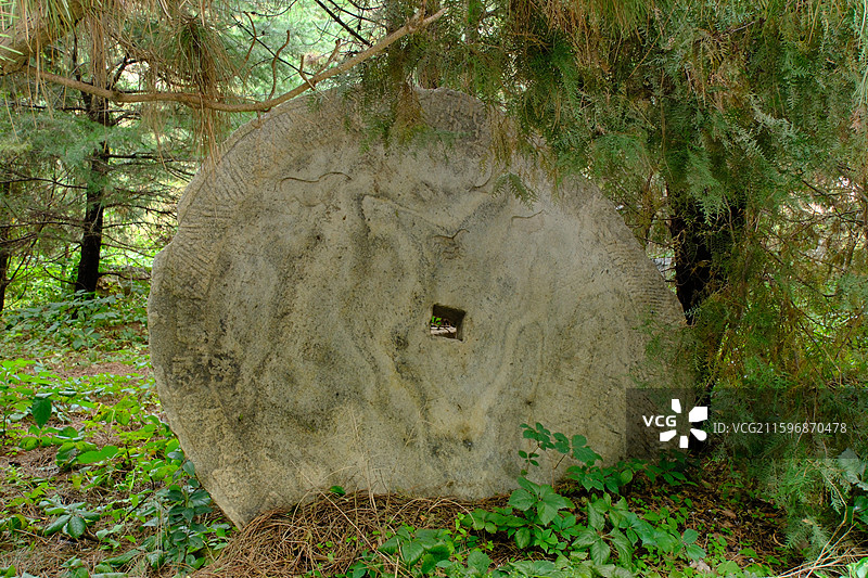 河北美院绿化。绿色植物。欧式城堡。园林景观设计。校园风光图片素材