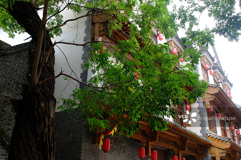 河北美院绿化。绿色植物。欧式城堡。园林景观设计。校园风光图片素材