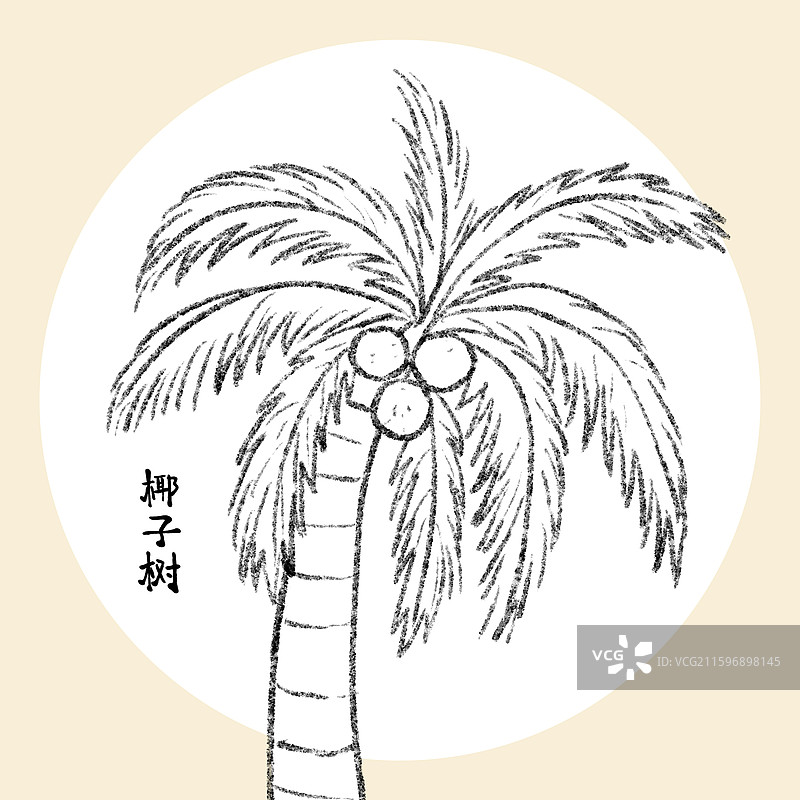 海南美食插画-椰子树图片素材