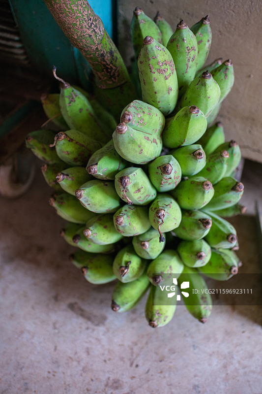 云南普洱澜沧-景迈山-芒洪大寨-芭蕉图片素材